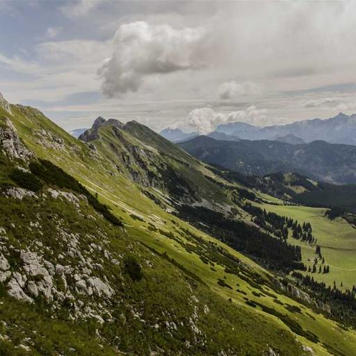 Bagaimana Media Sosial Membentuk Persepsi dan Realitas