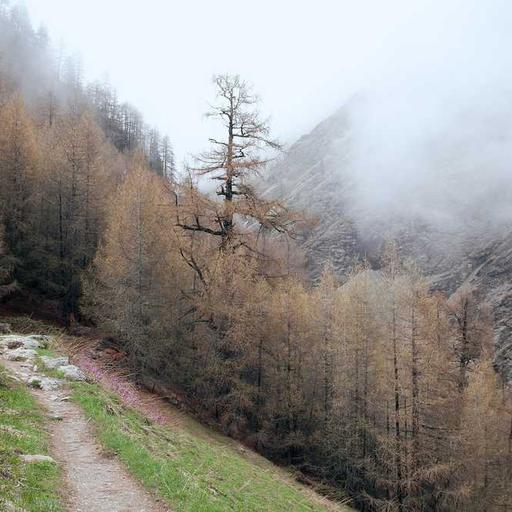 Membangun Personal Branding untuk Karier Cemerlang