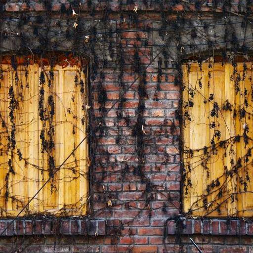 Menciptakan Dunia Maya yang Penuh Kasihmenang