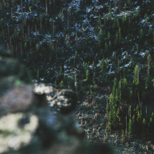 Panduan Backpacking Dari Persiapan Hingga Keselamatan Perjalanan