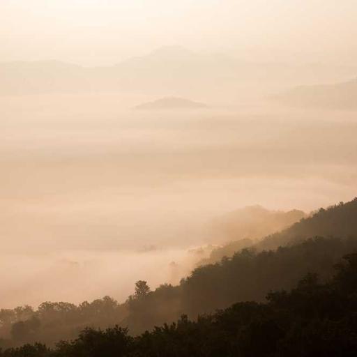 Rahasia Cita Rasa Unik dari Makanan Khas Daerah